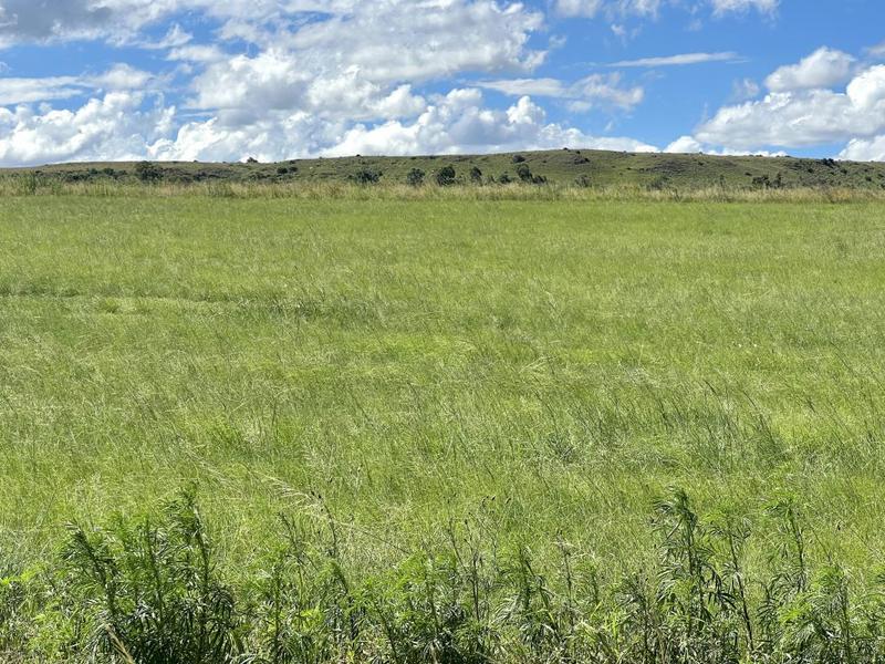 0 Bedroom Property for Sale in Lindley Free State